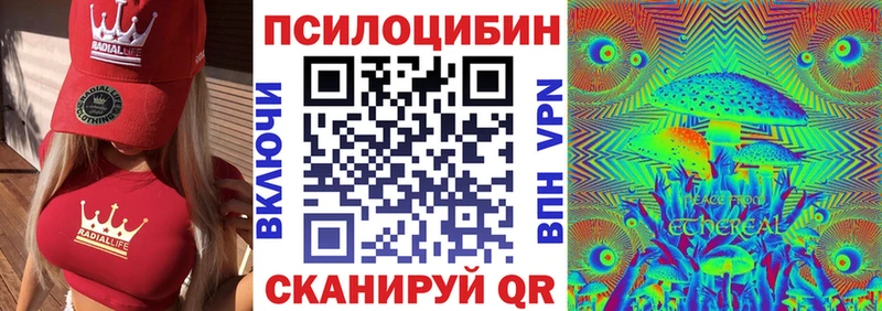 MEGA tor  Астрахань  Галлюциногенные грибы прущие грибы 