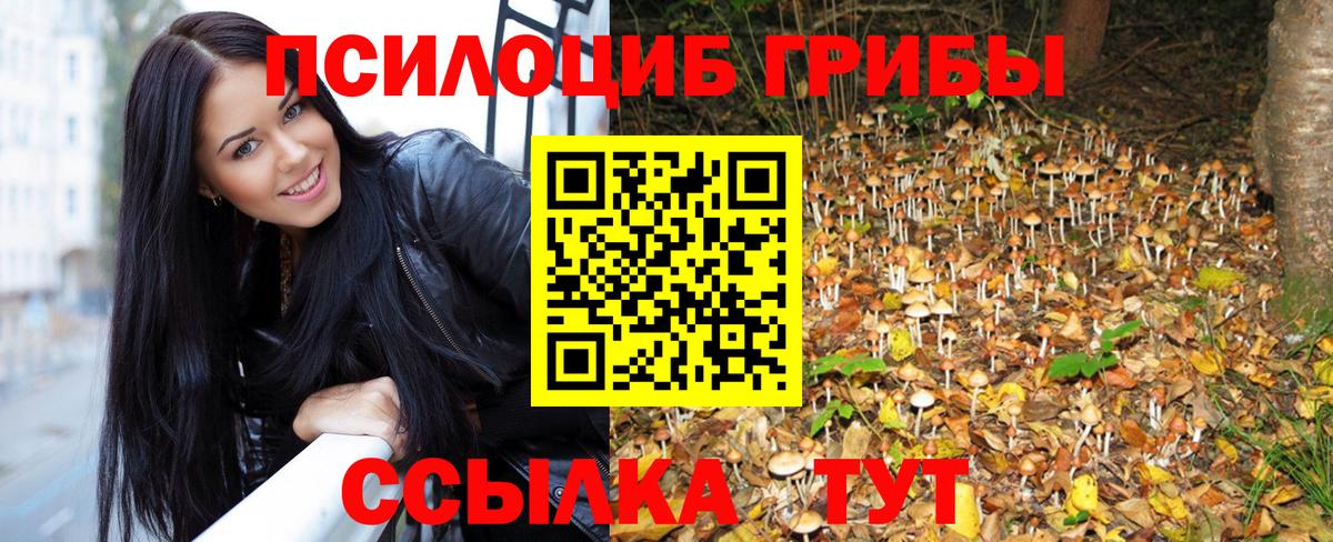 дарнет шоп  Вход с VPN  Галлюциногенные грибы GOLDEN TEACHER  Астрахань  Псилоцибиновые грибы Psilocybe 